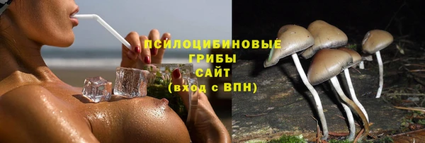 jwh Аркадак