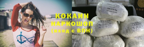 бошки Алзамай