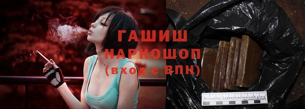прущие грибы Рославль