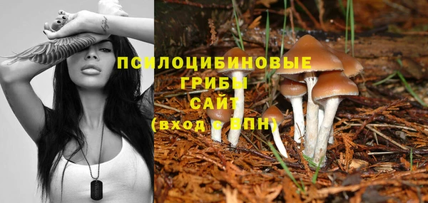 МДПВ Алексин