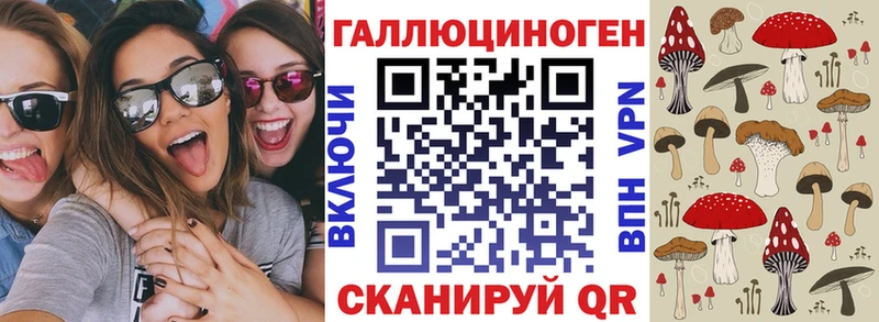 сайты даркнета как зайти Краснотурьинск Псилоцибиновые грибы Psilocybe